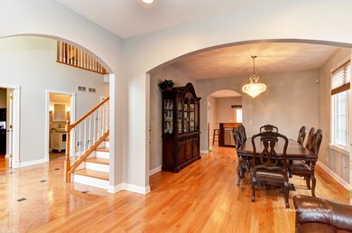 2044 Birch St, Des Plaines, IL 60018 - photo 7