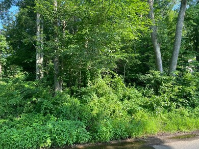 0 Island Rd L:1 unit 72866689, Holland, MA 01521 - photo 3