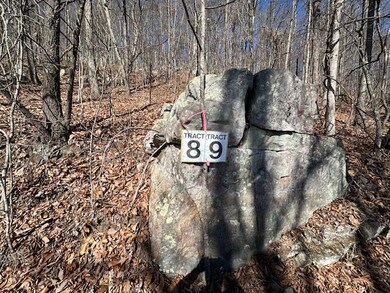 Horse Mountain 8 & 9 marker