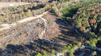 5 Gatewood Rd, Pittsview, AL 36871 - photo 2