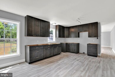 24697 Peterkins Rd, Georgetown, DE 19947 - photo 3