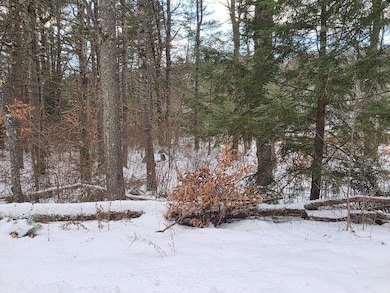 0 New Hampshire 10 unit 7, Gilsum, NH 03448 - photo 7