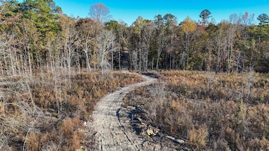 0 Big Rock Rd, Jacksons Gap, AL 36861 - photo 6