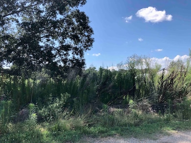 P/O 491 Island Creek Rd, Cowpens, SC 29330 - photo 2