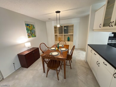 23 Karam Cir, West Orange, NJ 07052 - photo 6