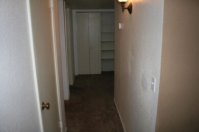 Pic 10