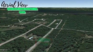 0 Eagle Bluff Loop unit Avinger TX 75630, Avinger, TX 75630 - photo 3