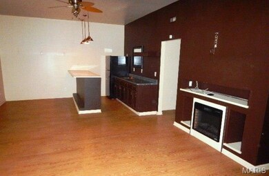 110 W Lion St, Jonesburg, MO 63351 - photo 4