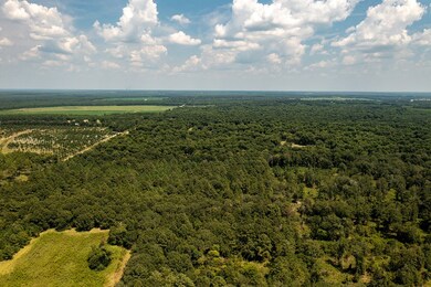 000 Shady Rd, Baconton, GA 31716 - photo 2