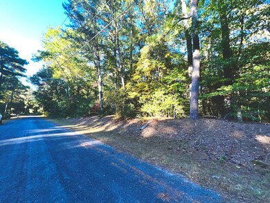 24/25 Pine Cove Cir unit 24/25, Belle Haven, VA 23306 - photo 7