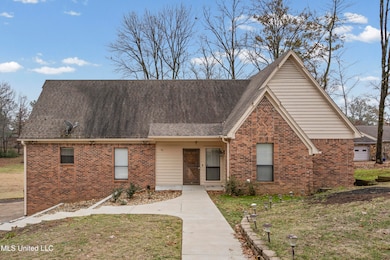 4441 Big Horn Dr N, Nesbit, MS 38651 - photo 3