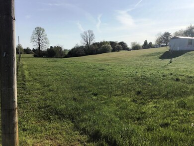 Ash Meadow Pict 41921 B