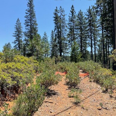 1943 Lightning Ln, Arnold, CA 95223 - photo 5