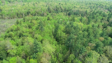 DJI_0339