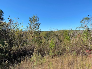 0 Highway 219 unit 11609592, Centreville, AL 35042 - photo 2