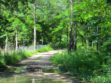 262 Wedgewood Ln, Mammoth Spring, AR 72554 - photo 7