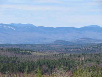 LamphierLand 005