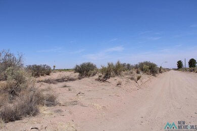 0 Rivera Rd SW unit 20222836, Deming, NM 88030 - photo 2