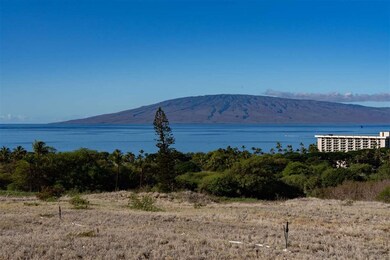 364 Anapuni Loop unit Lanikeha Lot 41 Ph 2, Lahaina, HI 96761 - photo 7