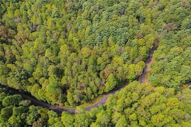 695 Satsuma Ct, Ellijay, GA 30540 - photo 4