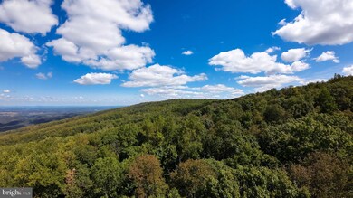 4769 Blue Mountain Rd, Shenandoah Farms, VA 22642 - photo 3