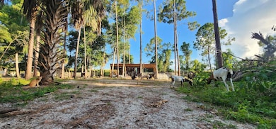 3335 Dellwood Rd, Loxahatchee, FL 33470 - photo 6