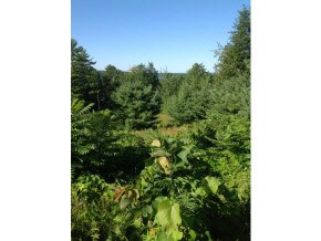 00 Spring Hill Rd, Moultonborough, NH 03254 - photo 6