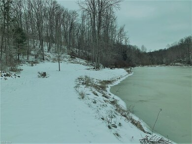 View to Woods and Pond