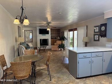 40 Old Courthouse Rd, Natchez, MS 39120 - photo 6