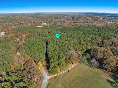 71 Acres Pikeville Rd, Fulton, MS 38843 - photo 7
