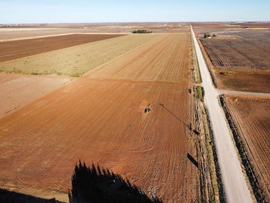 6639 Tiger Rd, Ropesville, TX 79358 - photo 5