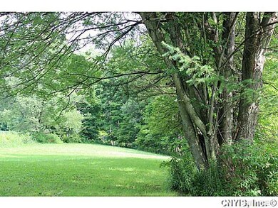 Yard Over 8 acres with great road frontage and nic
