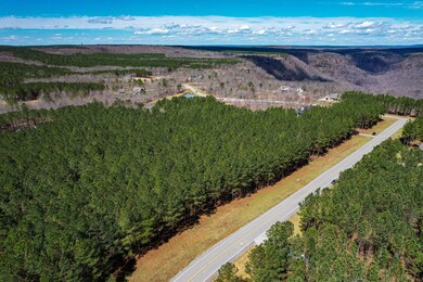 0 Wilderness Dr unit 1352099, Jasper, TN 37347 - photo 3