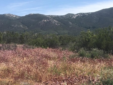 7 Willow Creek Rd, Sage, CA 92544 - photo 2