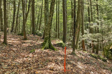 Lot 36 Mauhaut Shores Rd, Alton, NH 03810 - photo 6