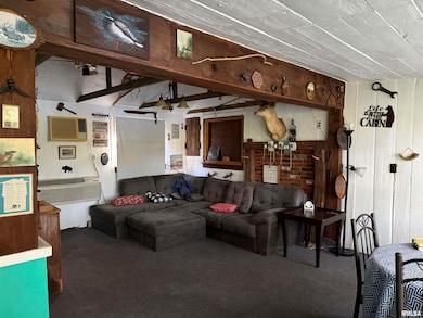 20 Willits Ln, Keithsburg, IL 61442 - photo 6