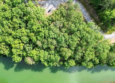 LOT 8 Shoreside at Sipsey, Double Springs, AL 35553 - photo 2