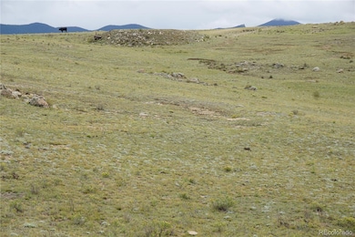 0 High Dr unit REC5498125, Hartsel, CO 80449 - photo 5