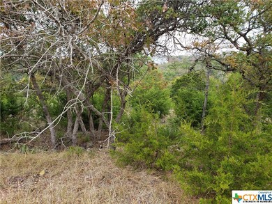 15831 Loveta Lane Ct, Temple, TX 76502 - photo 7