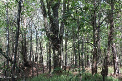 4 Byhalia Rd, Byhalia, MS 38611 - photo 3