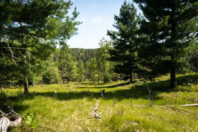 Nugent Lake 7