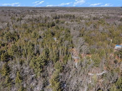 005_dji_20250310151210_0423_d_661
