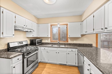 14030 Dartmouth Path, Rosemount, MN 55068 - photo 5