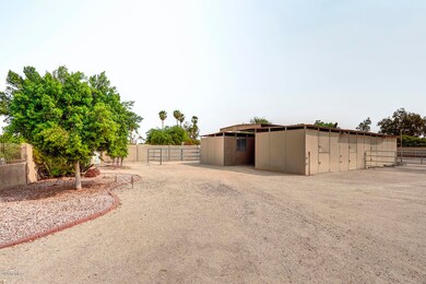 Equine Amenities