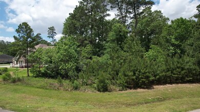 0 Hazy Landing Ct unit 93482164, Spring, TX 77386 - photo 6