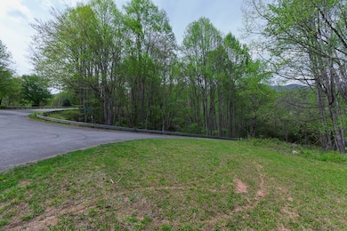 00 Battle Creek Rd, Sylva, NC 28779 - photo 4