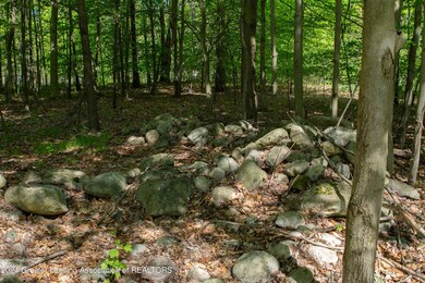 KJP_9078copy