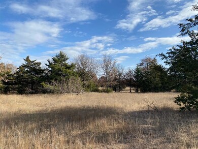 TBD Cr 118 Lot 2, Whitesboro, TX 76273 - photo 2