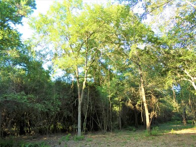 31032 Hegar Rd, Hockley, TX 77447 - photo 6