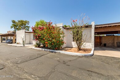 3 - Monte Vista